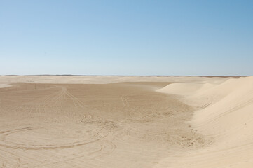 Fototapeta na wymiar sand dunes in the sahara desert in africa