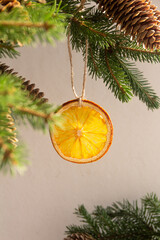 Christmas composition of a Christmas tree with cones, Christmas gifts in craft packaging, slices of dried orange on a white background