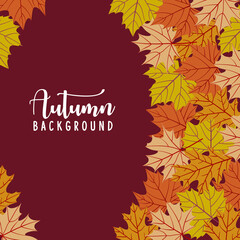 Autumn leaves background. Vector illustration.
