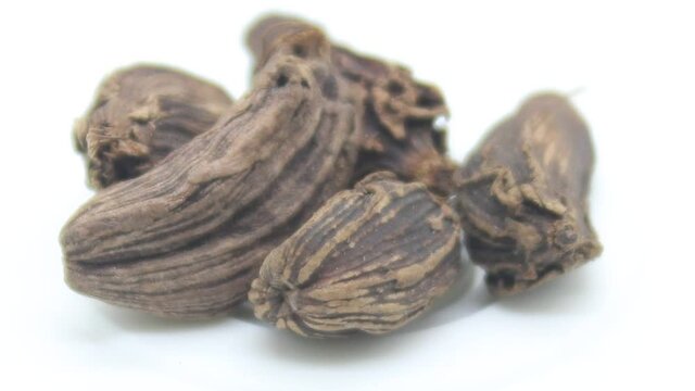 Black cardamom on white background