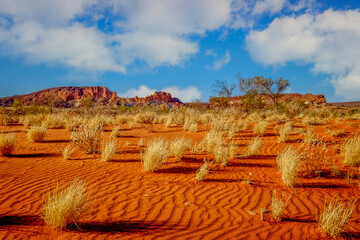 Rocks in the desert