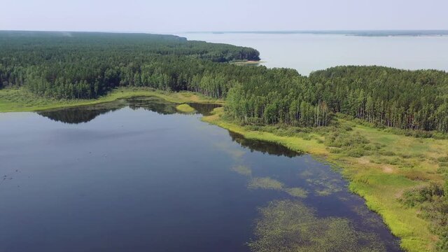 Aerial video of forest boggy lake in the Karakansky pine forest near the shore of the Ob reservoir.