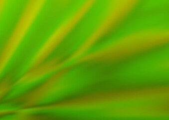 Light Green vector abstract blurred background.