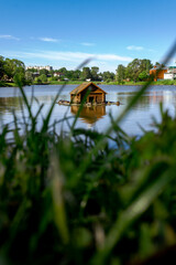 Obraz premium House for birds on the water in the middle of the lake. Seagulls and wild ducks.