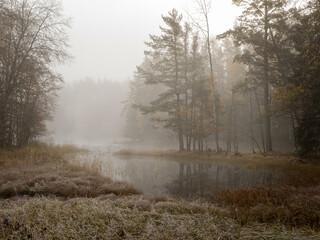 Obraz na płótnie Canvas River landscape in autumn. Farnebofjarden national park in Sweden.