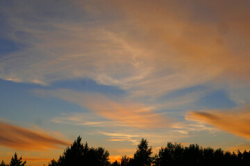 Layered clouds. Tver region.