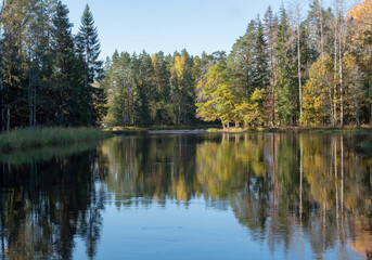 River landscape in autumn. Farnebofjarden national park in Sweden.