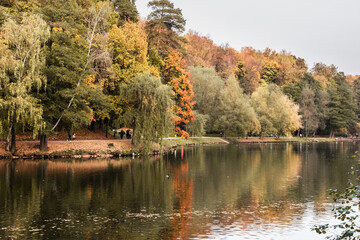 Autumn landscape with reflection of trees in the pond in Tsaritsyno park. Moscow