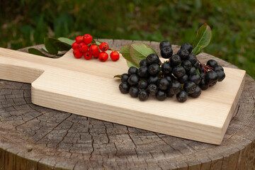 Black chokeberry (Aronia melanocarpa) rowan berry wooden board close up