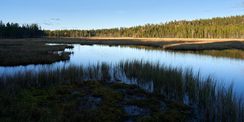 Triungsvanna, Oslomarka, Norway. Nature reserve. Shot in golden/blue hour in october.  A crisp and cold evening in Nordmarka. This lake and forest is only a few kilometers from down town city of oslo.