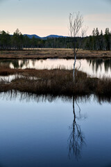 Triungsvanna, Oslomarka, Norway. Nature reserve. Shot in golden/blue hour in october.  A crisp and cold evening in Nordmarka. This lake and forest is only a few kilometers from down town city of oslo.