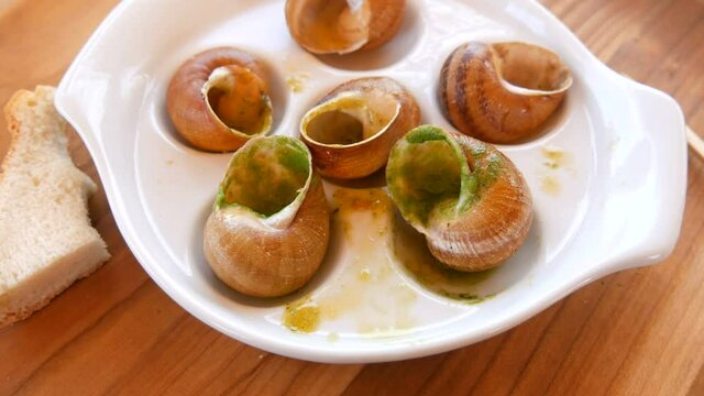 Eaten snail dish in sauce on a special plate in a restaurant. Expensive and healthy food, empty shells.