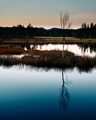 Triungsvanna, Oslomarka, Norway. Nature reserve. Shot in golden/blue hour in october.  A crisp and cold evening in Nordmarka. This lake and forest is only a few kilometers from down town city of oslo.