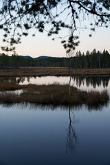 Triungsvanna, Oslomarka, Norway. Nature reserve. Shot in golden/blue hour in october.  A crisp and cold evening in Nordmarka.