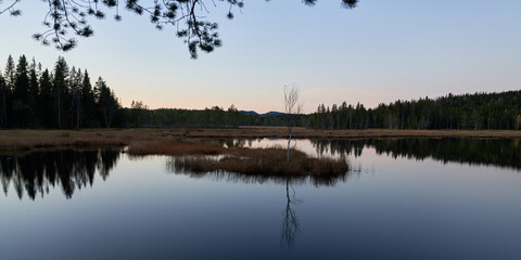 Triungsvanna, Oslomarka, Norway. Nature reserve. Shot in golden/blue hour in october.  A crisp and cold evening in Nordmarka.