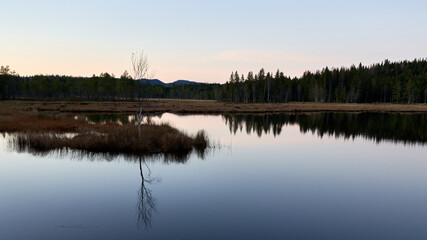Obraz premium Triungsvanna, Oslomarka, Norway. Nature reserve. Shot in golden/blue hour in october. A crisp and cold evening in Nordmarka. This lake and forest is only a few kilometers from down town city of oslo.