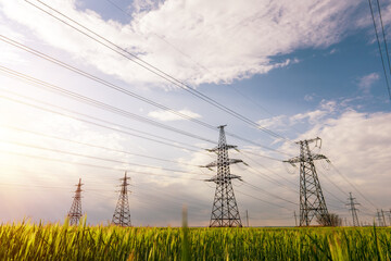 High-voltage power lines passing through a green field of wheat, on the background of a cloudy sky