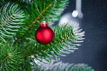 Christmas background with a spruce branch, a red ball on a branch and falling snow.