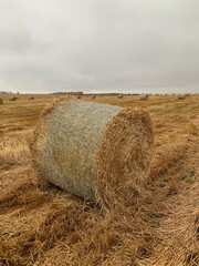 bales of hay