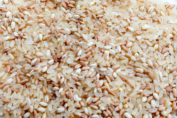 Mixture of Spelled Rice and Barley