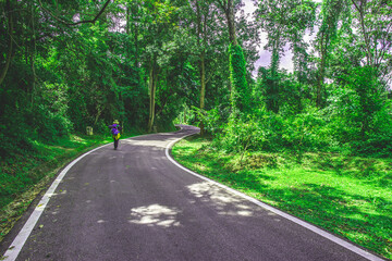 People or traveller are walking or trekking to the Small asphalt road in the dark green forest of countryside.