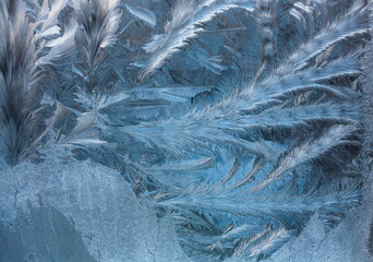 ..the frosty patterns on the window