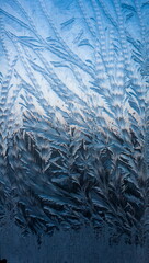 ..the frosty patterns on the windo