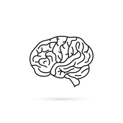 black thin line brain simple icon