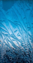 the frosty patterns on the window