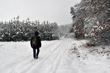 tourist in the winter forest trees in the snow