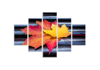 Five canvas set with picture of colorful autumn leaves on dark wooden background, interior decor mock up