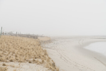 Foggy beach in the early morning