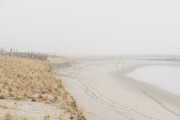 Foggy beach in the early morning