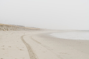 Foggy beach in the early morning
