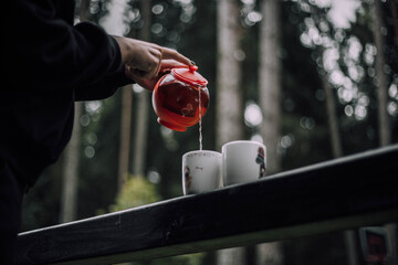 Cup of tea in the woods 