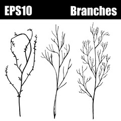 Outline isolated branches set