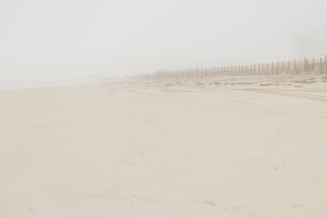 Foggy beach in the early morning