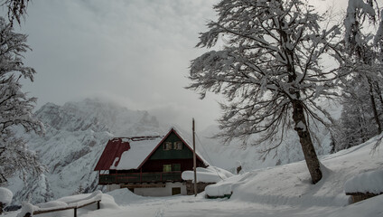 Trekking after a snowfall in the Julian Alps, Friuli-Venezia Giulia, Italy