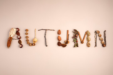 Autumn concept, fall background. Autumn objects and inscription in capital letters AUTUMN on beige background. Minimal natural design. Autumn creative composition. Flay lay.