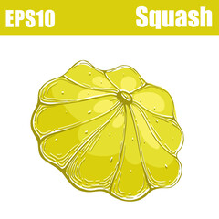  Isolated color squash