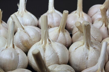 Bulbs of garlic (Allium sativum) on black background. Flat lay concept