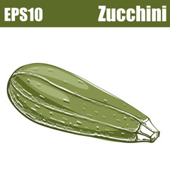 Color isolated zucchini
