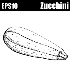 Outline isolated zucchini