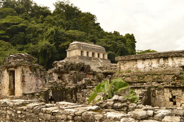 Obraz premium The old ruins of the Mayan town of Palenque in Chiapas, Mexico