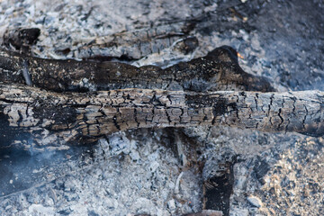 Camp fire during a hiking trip. Burning wood in a campfire. Glowing coals and the texture of burnt wood