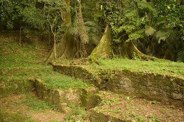 The old ruins of the Mayan town of Palenque in Chiapas, Mexico