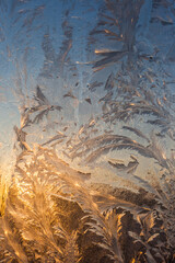 the frosty patterns on the window