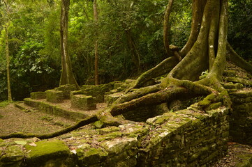 The old ruins of the Mayan town of Palenque in Chiapas, Mexico