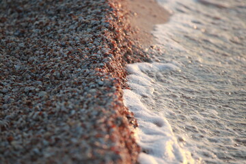 Sea shore at sunset with wave and foam. Shell texture golden shoreline. Seashell costline closeup background. Solitude coast landscape, quiet nature backdrop