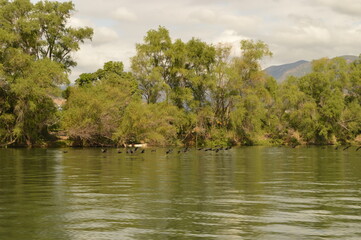 Sailing on the river through the stunning Sumidero Canyon in Chiapas, Mexico
